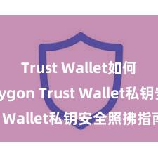 Trust Wallet如何连接Polygon Trust Wallet私钥安全照拂指南